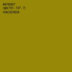 #978907 - Hacienda Color Image