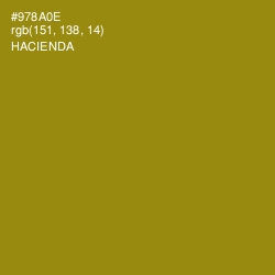 #978A0E - Hacienda Color Image