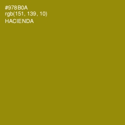 #978B0A - Hacienda Color Image