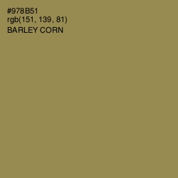 #978B51 - Barley Corn Color Image