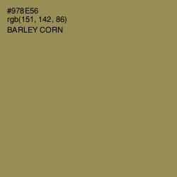 #978E56 - Barley Corn Color Image