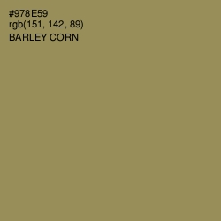 #978E59 - Barley Corn Color Image