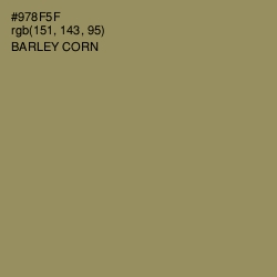 #978F5F - Barley Corn Color Image