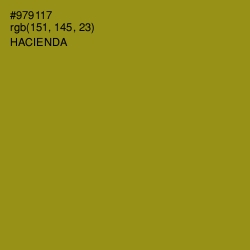 #979117 - Hacienda Color Image
