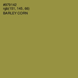 #979142 - Barley Corn Color Image