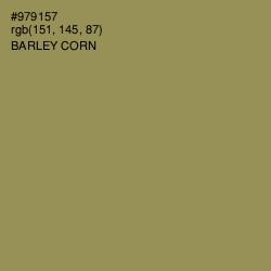 #979157 - Barley Corn Color Image