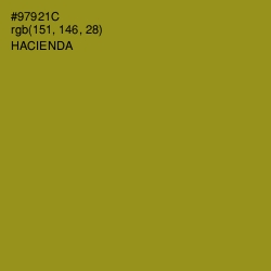 #97921C - Hacienda Color Image