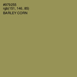 #979255 - Barley Corn Color Image