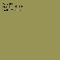 #979455 - Barley Corn Color Image