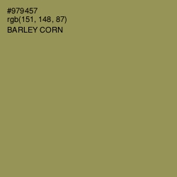 #979457 - Barley Corn Color Image