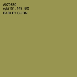 #979550 - Barley Corn Color Image