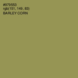 #979553 - Barley Corn Color Image