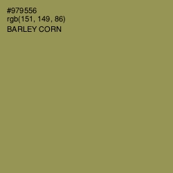 #979556 - Barley Corn Color Image