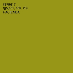 #979617 - Hacienda Color Image