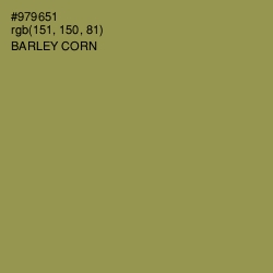 #979651 - Barley Corn Color Image