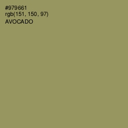 #979661 - Avocado Color Image