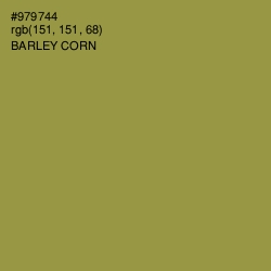 #979744 - Barley Corn Color Image
