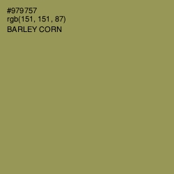 #979757 - Barley Corn Color Image