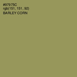 #97975C - Barley Corn Color Image
