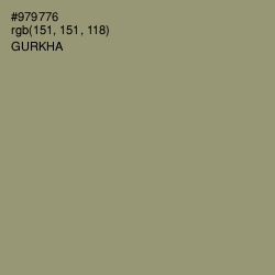 #979776 - Gurkha Color Image