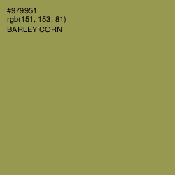 #979951 - Barley Corn Color Image