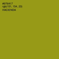 #979A17 - Hacienda Color Image