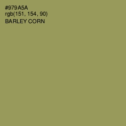 #979A5A - Barley Corn Color Image