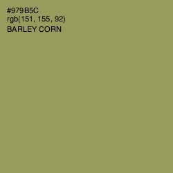 #979B5C - Barley Corn Color Image