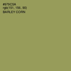 #979C5A - Barley Corn Color Image