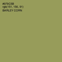 #979C5B - Barley Corn Color Image