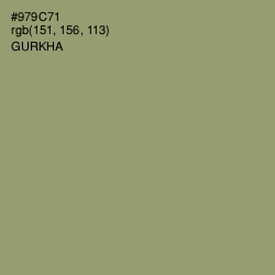 #979C71 - Gurkha Color Image