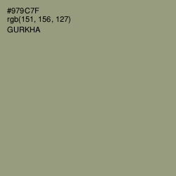 #979C7F - Gurkha Color Image
