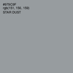 #979C9F - Star Dust Color Image