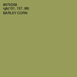 #979D58 - Barley Corn Color Image