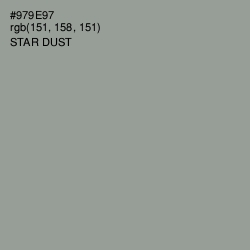 #979E97 - Star Dust Color Image