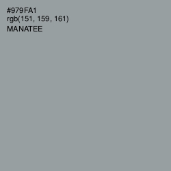 #979FA1 - Manatee Color Image
