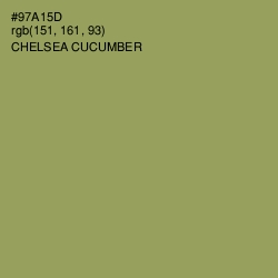 #97A15D - Chelsea Cucumber Color Image