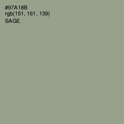 #97A18B - Sage Color Image