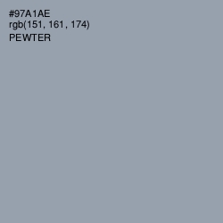 #97A1AE - Pewter Color Image