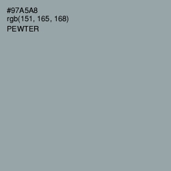 #97A5A8 - Pewter Color Image