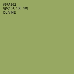 #97A862 - Olivine Color Image