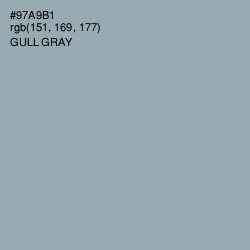 #97A9B1 - Gull Gray Color Image
