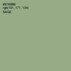 #97AB86 - Sage Color Image