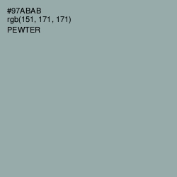 #97ABAB - Pewter Color Image