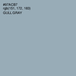 #97ACB7 - Gull Gray Color Image