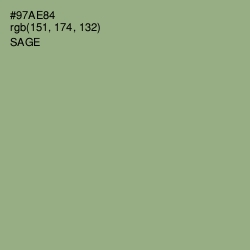 #97AE84 - Sage Color Image