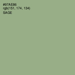 #97AE86 - Sage Color Image