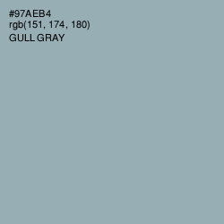 #97AEB4 - Gull Gray Color Image