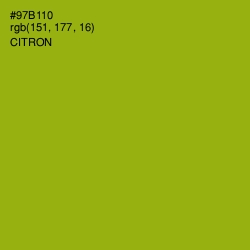 #97B110 - Citron Color Image