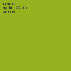 #97B11F - Citron Color Image